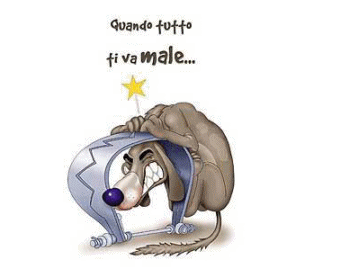 sorte.gif