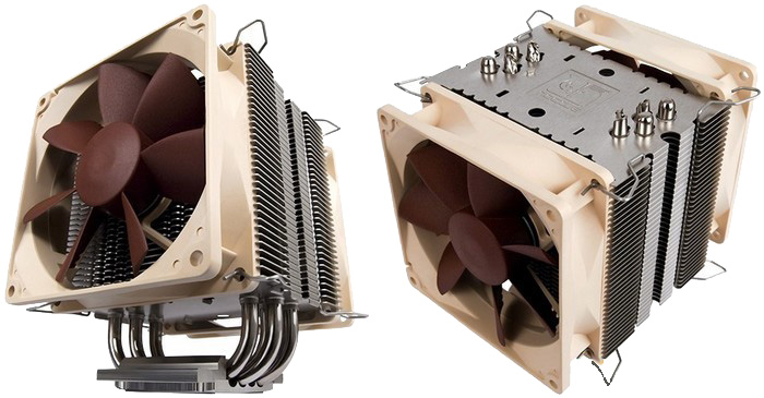 noctua